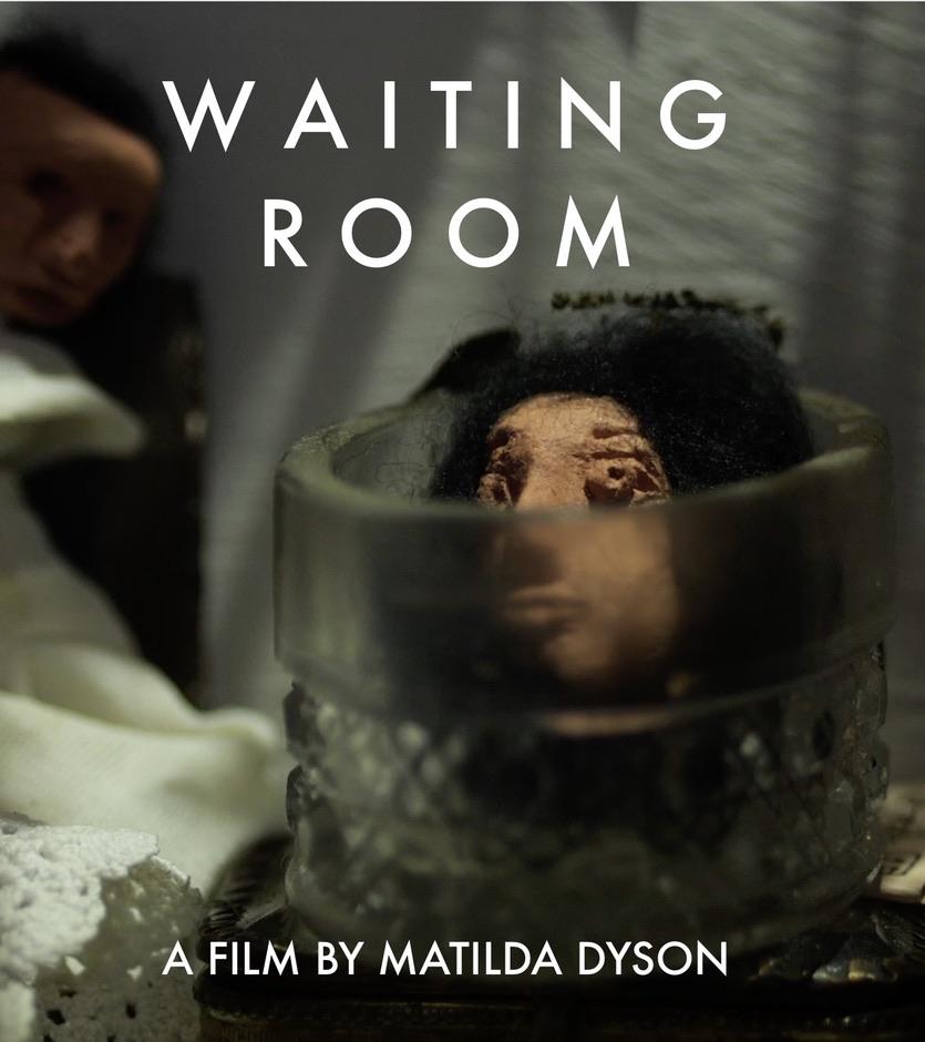 Waiting Room film poster showing a puppet head reflected in glass